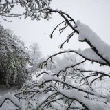 La neige ce jeudi sur les hauts de Flanthey (image d'illustration)